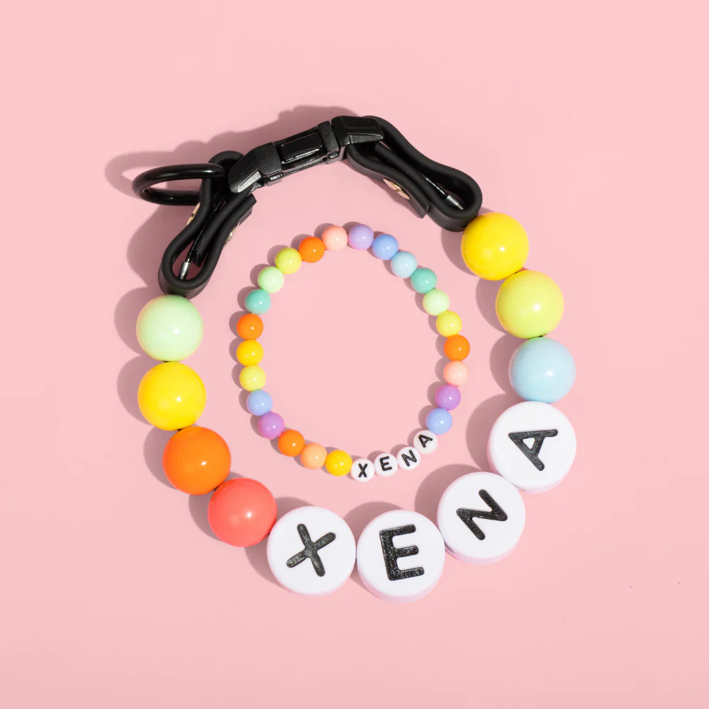 Hundehalsband + passendes Gratis-Armband